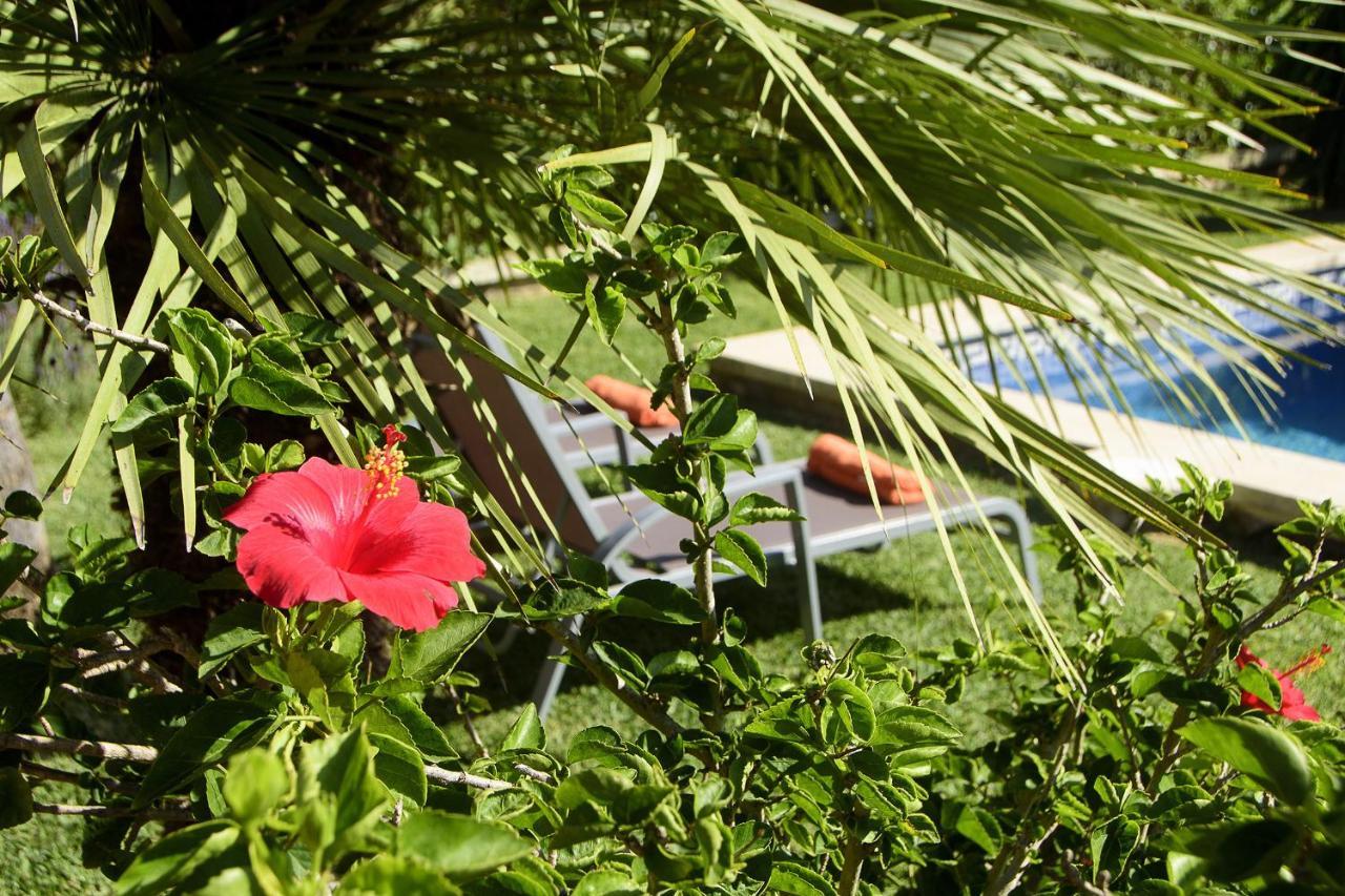 Tintorer Villa Puerto Pollensa